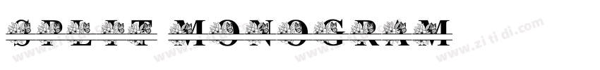 Split Monogram字体转换 Split Monogram字体转换
